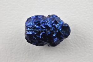 Chlamisus sp. A1  MONSTER SIZE BLUE SP 12mm